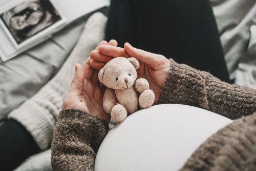 Woman pregnant belly with little teddy toy bear. Concept image choosing the right surrogacy agency